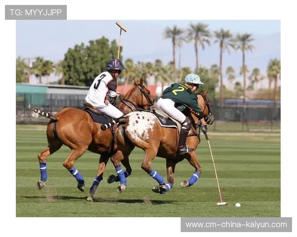 美国马术协会设立马匹福利基金，支持马匹退休生活。，美国马术协会polo