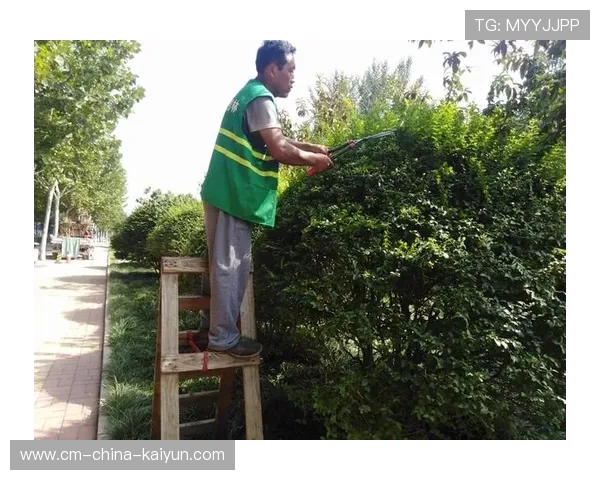 世界板球技术研究院推广节水草皮养护方案